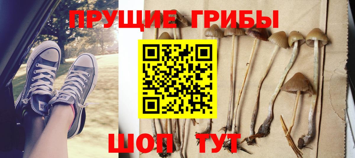 Кисловодск  Галлюциногенные грибы GOLDEN TEACHER  Вход с VPN  Галлюциногенные грибы MAGIC MUSHROOMS 