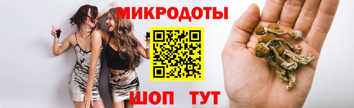 Псилоцибиновые грибы Psilocybine cubensis Кисловодск